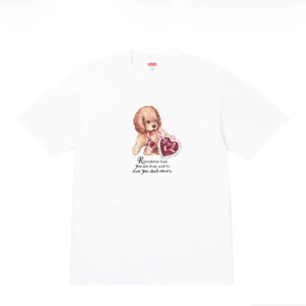 [BUNJANG] Supreme Dust T-Shirt White M / 슈프림 더스트 티셔츠 화이트 m