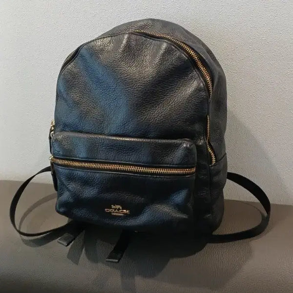 [BUNJANG] Coach Leather Backpack / 코치 백팩 세로 29  27 12