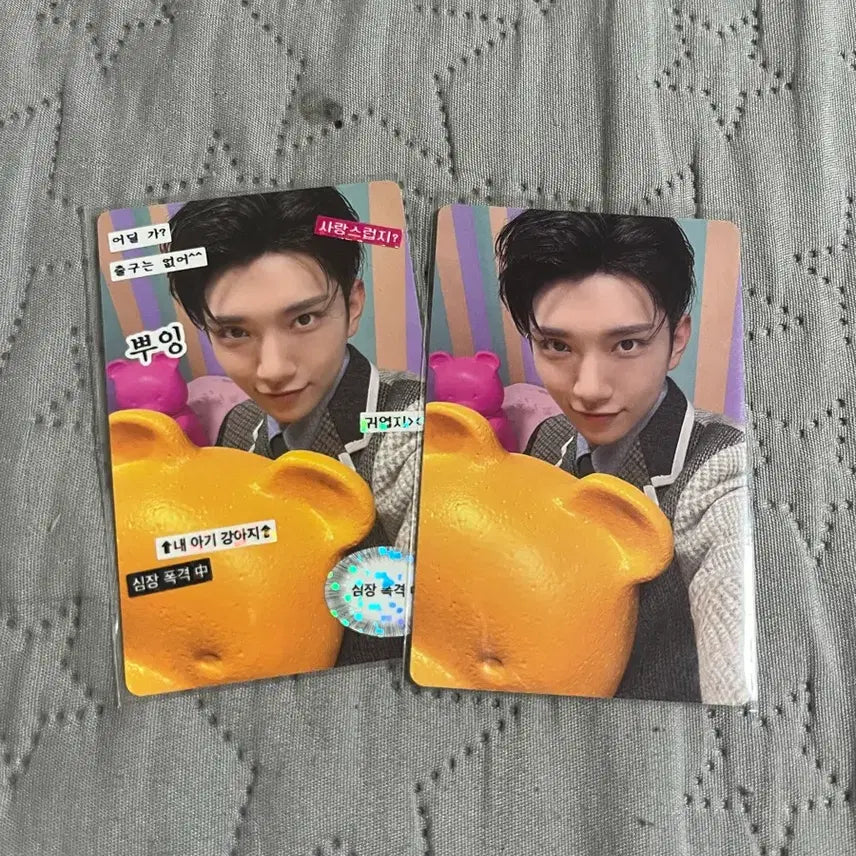 [BUNJANG] Seventeen Joshua Bundle Set Photocard / 세븐틴 조슈아 포카 일괄