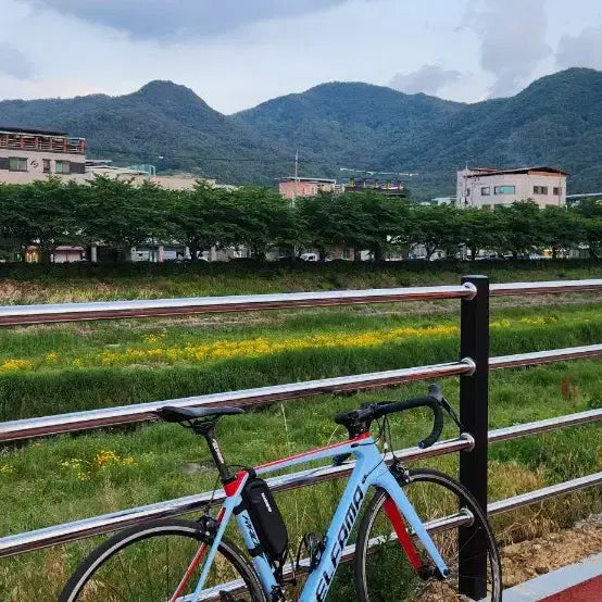 [BUNJANG] Elpama R7000 Full Carbon Road Bicycle / 엘파마 레이다R7000 풀카본 로드 판/대