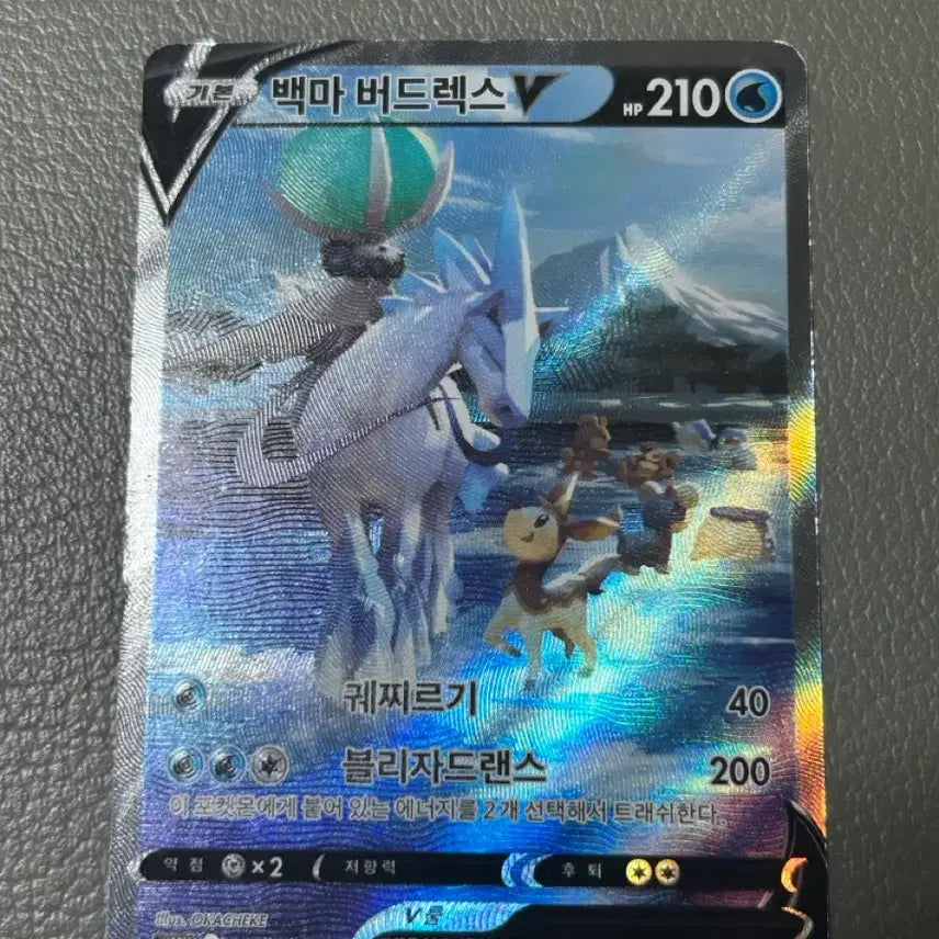 [BUNJANG] Spectrier VMAX Full Art Pokemon Card / 포켓몬카드 백마 버드렉스 v 특일