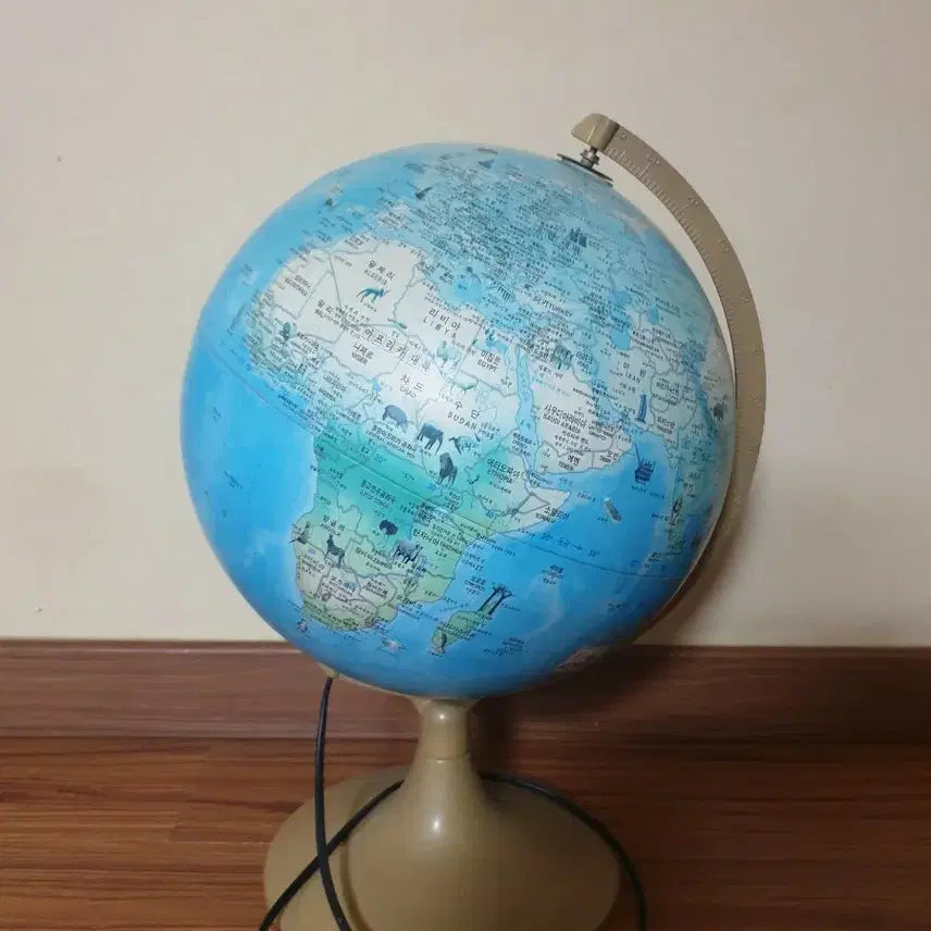 [BUNJANG] LED Globe Educational Globe with Stand / 지구본