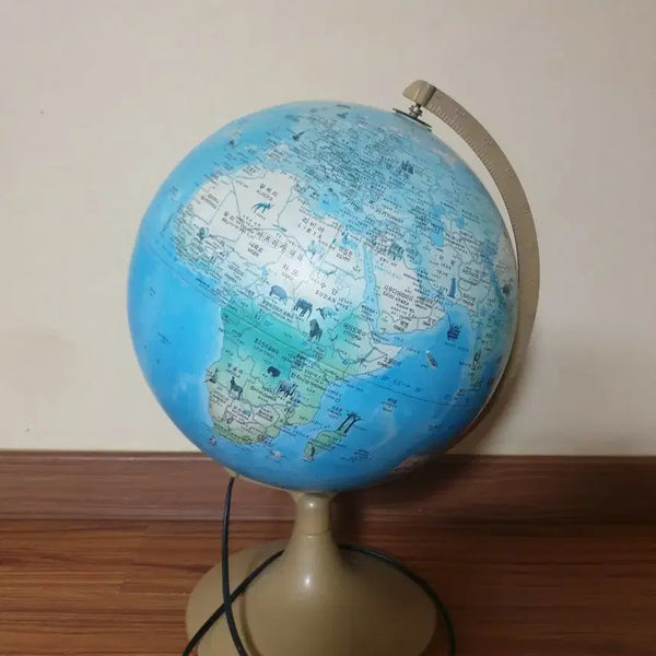[BUNJANG] LED Globe Educational Globe with Stand / 지구본