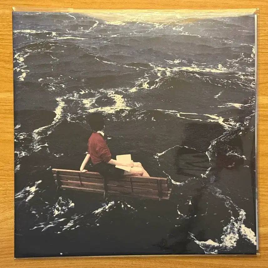 [BUNJANG] Sae Sonyeoun 2nd EP 'Non-Adaptation' LP / 새소년 2nd EP 비적응 LP