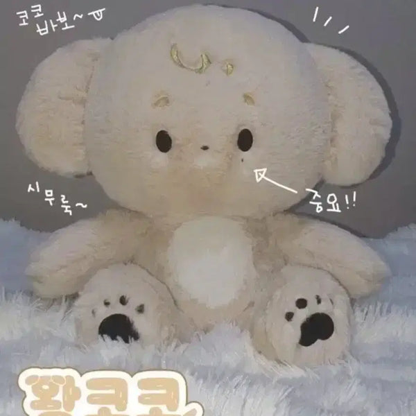 [BUNJANG] SEVENTEEN Dokyeom 40cm Doll 'Wang Coco' / 세븐틴 도겸 40cm 인형 왕코코 양도