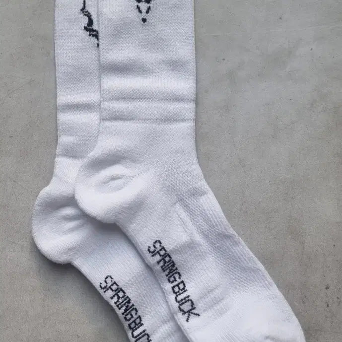 [BUNJANG] SPRINGBUCK BioMax Sports Crew Socks Cooling / SPRINGBUCK 바이오맥스 스포츠 크루삭스 기능성 양말 흡한속건 쿨링