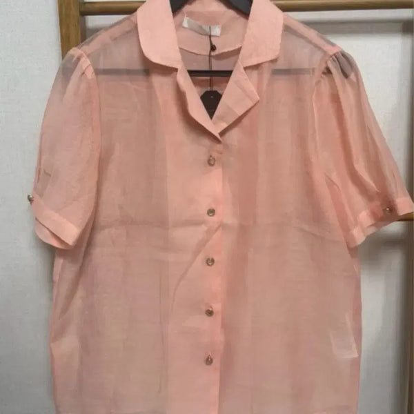[BUNJANG] LeShop Sheer Organza Short Sleeve Blouse - Size S (New) / LeShop 핑크 오간자 반팔 블라우스 S 새상품