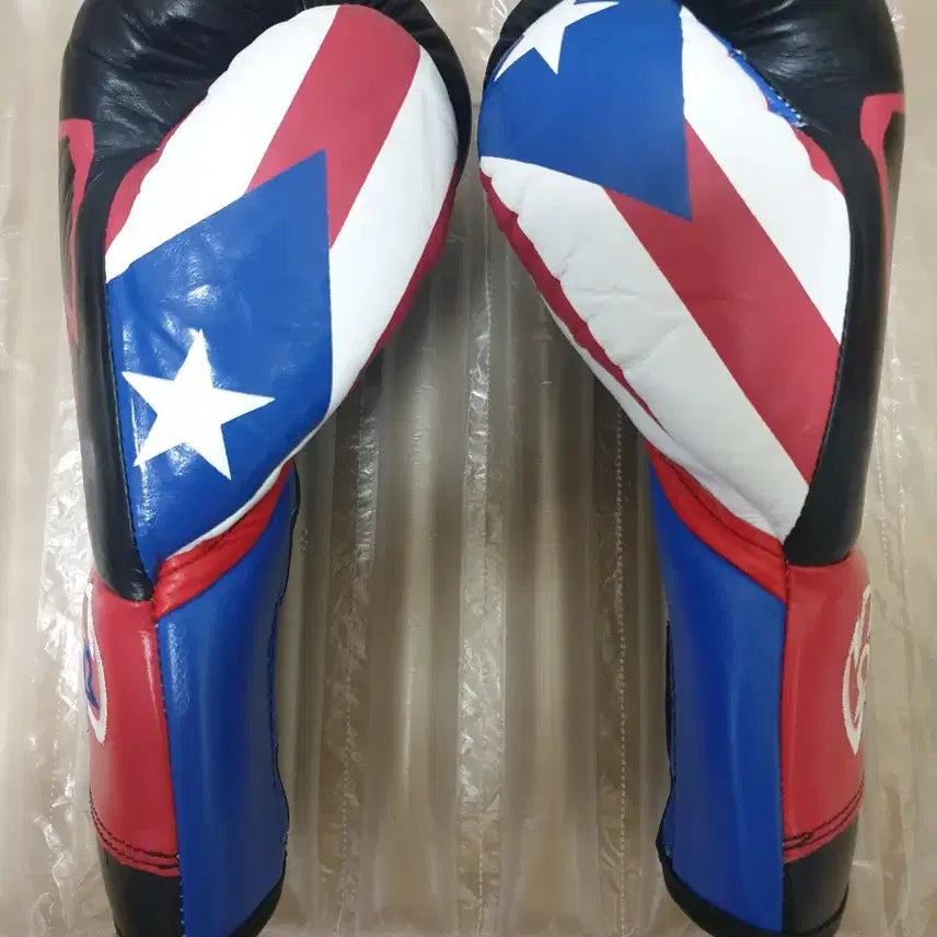 [BUNJANG] Rival RFX Guerrero Custom SF-F Fight Boxing Gloves 10oz / 라이벌 RFX게레로 커스텀  sf-f 파이트 복싱 글러브10온스