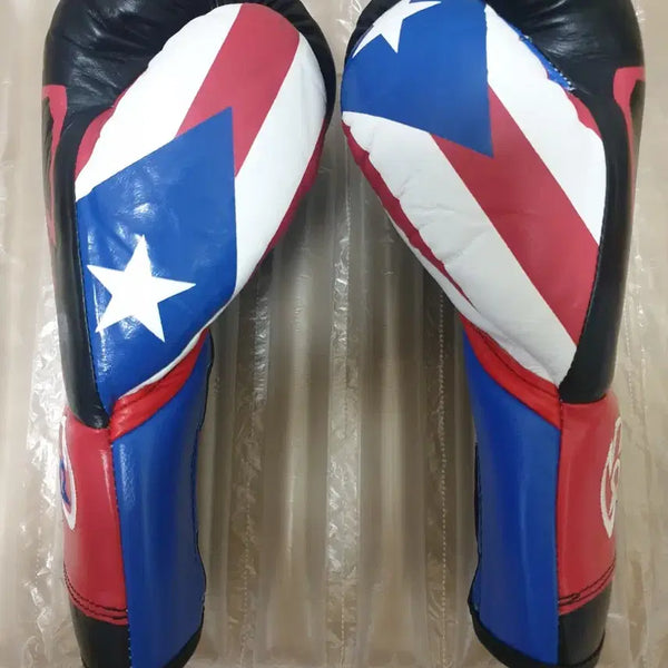 [BUNJANG] Rival RFX Guerrero Custom SF-F Fight Boxing Gloves 10oz / 라이벌 RFX게레로 커스텀  sf-f 파이트 복싱 글러브10온스