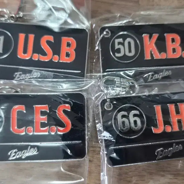 [BUNJANG] Hanwha Eagles Name Metal Keychain Bundle Set / 한화이글스 네임키링(일괄)
