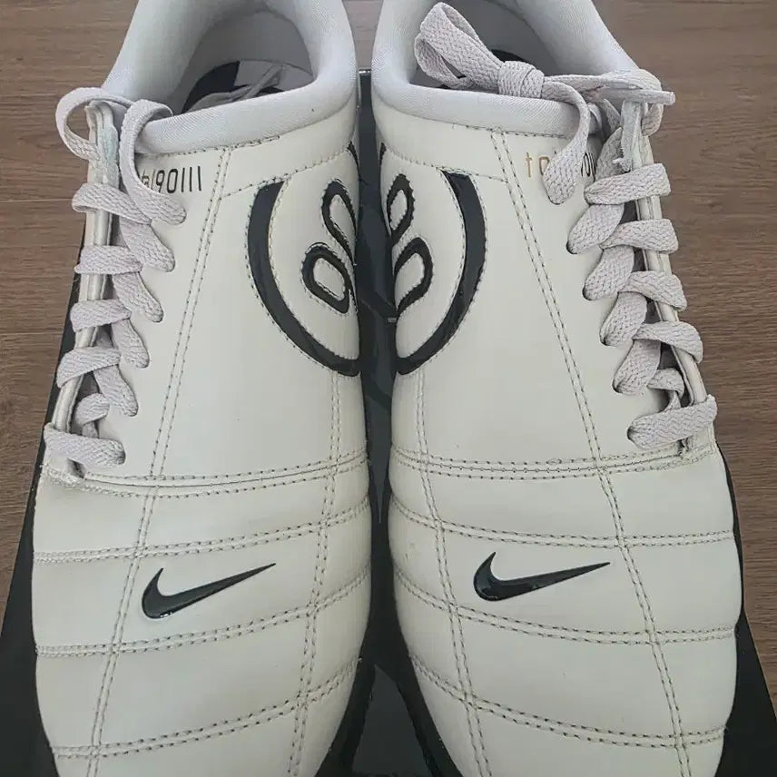 [BUNJANG] Nike T90SP Soccer Cleats (255mm) / 나이키 T90SP 255