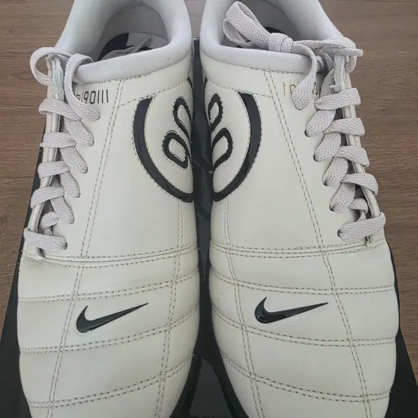 [BUNJANG] Nike T90SP Soccer Cleats (255mm) / 나이키 T90SP 255