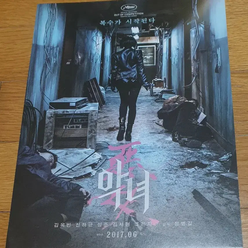 [BUNJANG] The Villainess Movie Poster - Kim Ok-vin, Shin Ha-kyun / 영화전단지 악녀 김옥빈 신하균