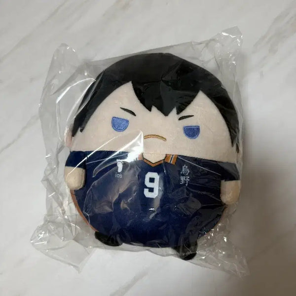 [BUNJANG] Haikyuu!! Kageyama Tobio FuwaKororin M Size Plush / 하이큐 카게야마 후와코로링 m사이즈