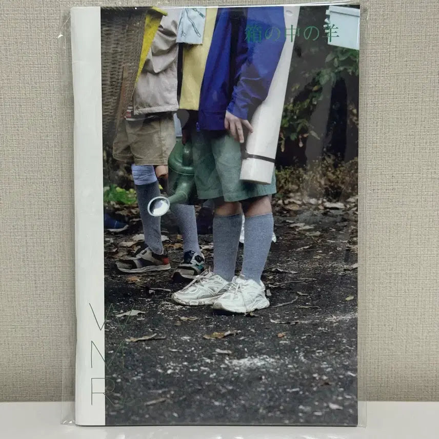 [BUNJANG] Art House "Sheaf of Grain in a Box" / <상자 속의 양> 아트하우스 진