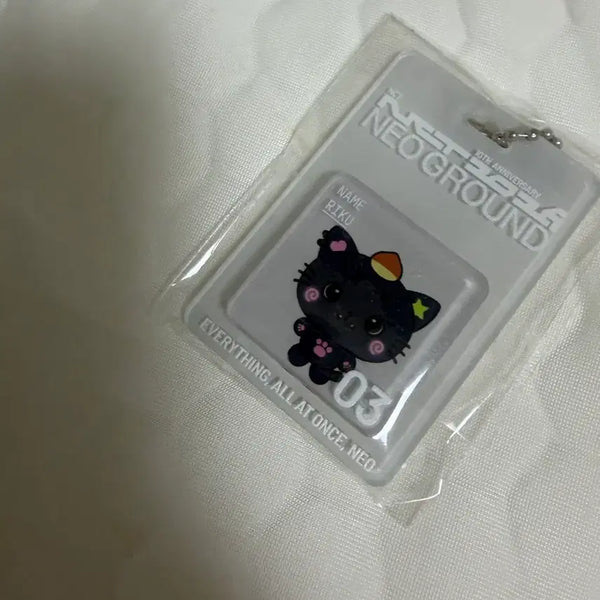 [BUNJANG] NCT 10th Anniversary Exhibition Riku Kuri Keyring / 엔시티 10주년 전시 팝업 리쿠 쿠리 키링