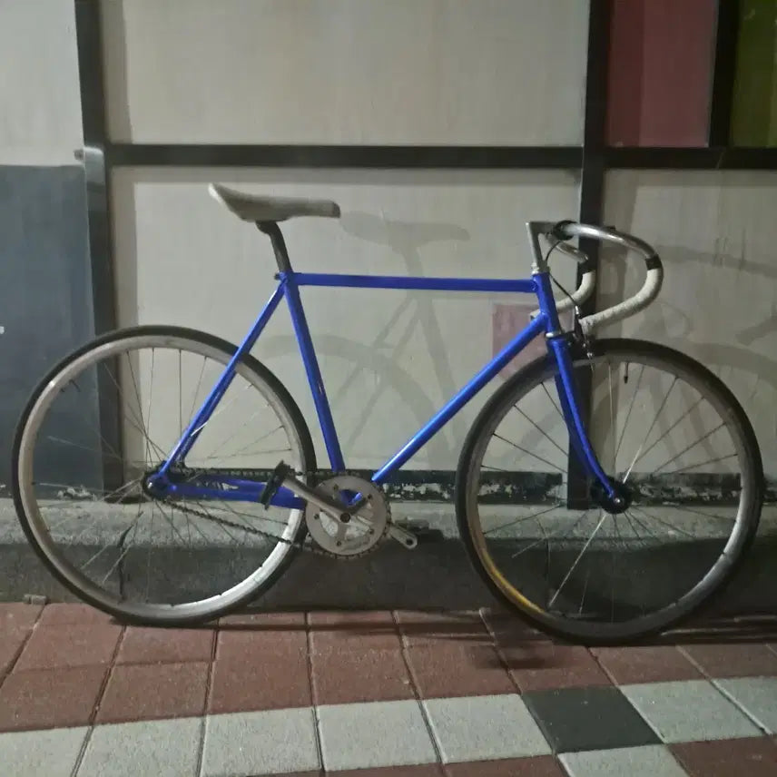 [BUNJANG] Bykene Traveler 51 Size Track Bicycle / 바이큰 트래블러 51사이즈 경륜 판매/대차