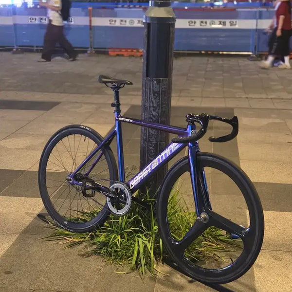 [BUNJANG] Constantine Bernard Chameleon 2024 Bicycle Frame Set / 콘스탄틴 버나드