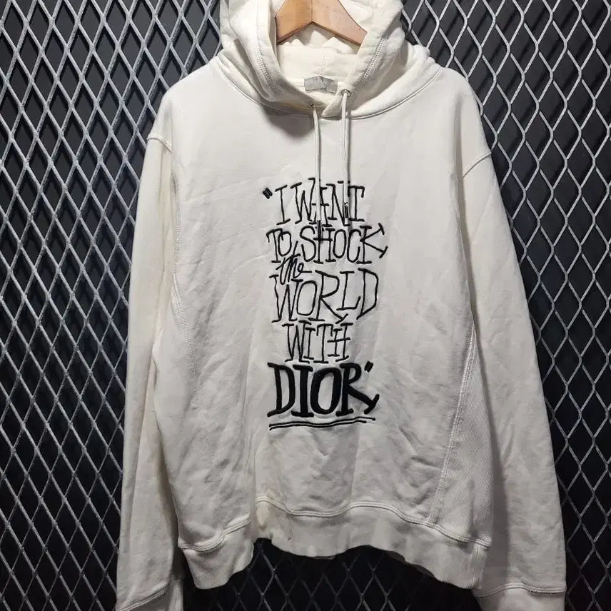 [BUNJANG] Dior Shawn Stussy Hoodie XL / 디올 숀 스투시 후드티 XL