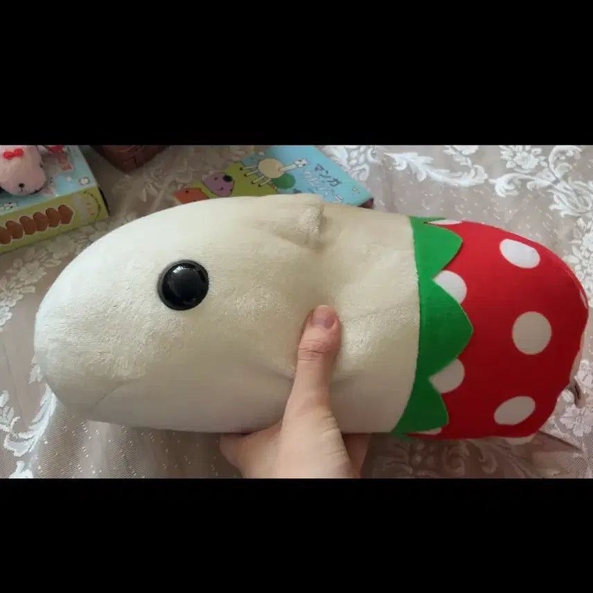 [BUNJANG] Capybara 'Strawberry Pants' White Medium Plush Toy / 오늘할인)딸기 빤쮸 카피바라상 화이트상 중형인형