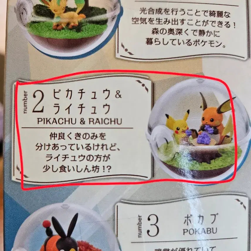 [BUNJANG] Pokemon Terrarium Vol. 14 Pikachu & Raichu Figure / 포켓몬 테라리움14 피카츄라이츄