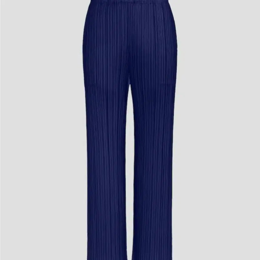 [BUNJANG] Pleats Please Issey Miyake Monthly Pants May Navy Size 4 / 플리츠플리즈 먼슬리 5월 팬츠 네이비