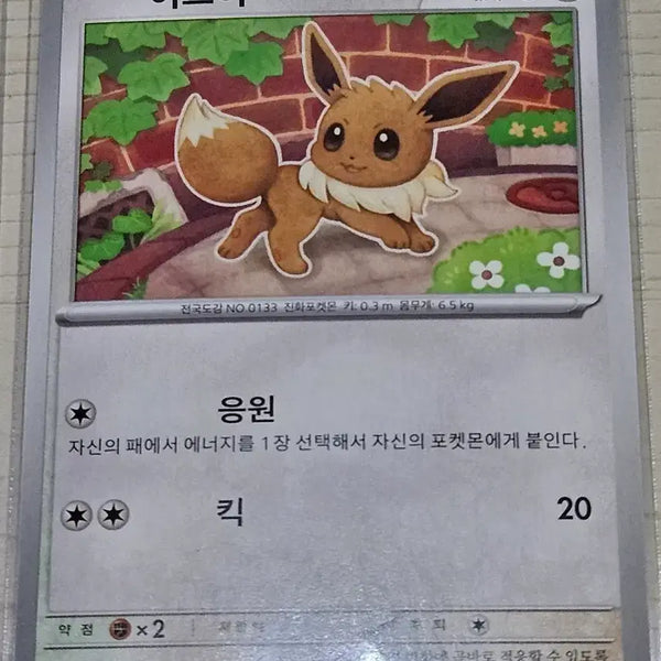 [BUNJANG] Pokemon Card Eevee, Umbreon Bundle Set / 포켓몬 카드 이브이, 블래키
