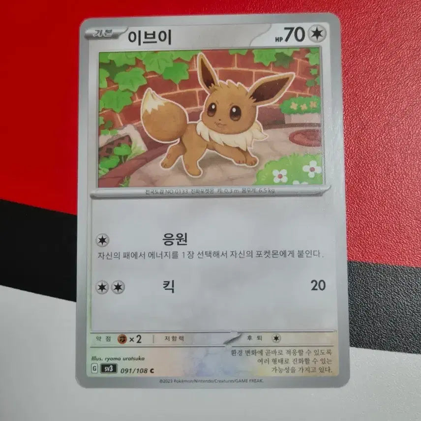[BUNJANG] Pokemon Card Eevee Album Version SV3 / 포켓몬카드 이브이 앨범용 sv3