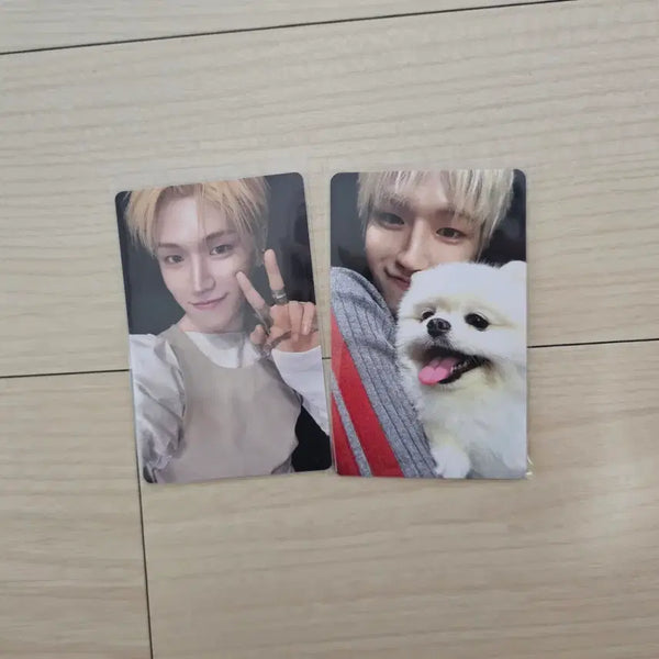 [BUNJANG] BOYNEXTDOOR Riwoo Home Album Weverse POB Photocard / 보이넥스트도어 홈 앨범 리우 앨범포카 위버스 특전포카