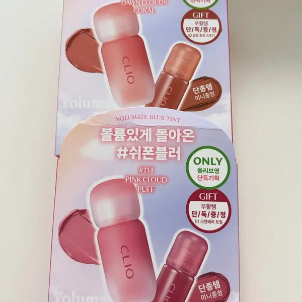 [BUNJANG] Clio Volume Mate Blur Tint (Shades 113, 114) / 클리오 볼륨메이트 블러 틴트 113, 114
