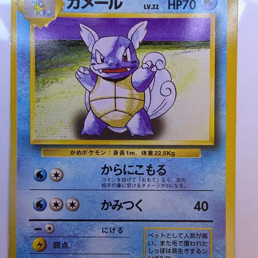 [BUNJANG] Pokemon Card 1996 Early Design Wartortle / 포켓몬카드 1996 초기 어니부기