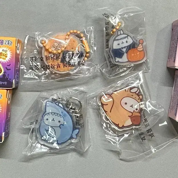[BUNJANG] Molang Acrylic Keyring Goods Bundle Set / 몰랑이 아크릴 키링 굿즈 일괄
