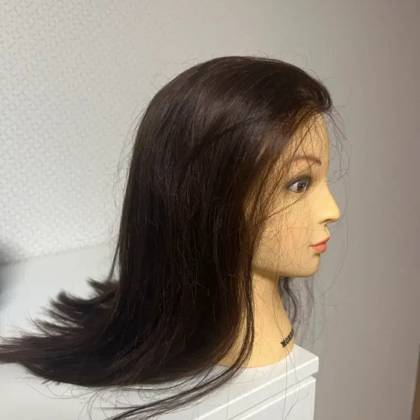 [BUNJANG] Morris Practice Wig / 미용 연습용 통가발