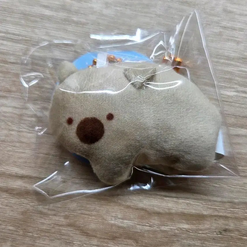[BUNJANG] Tsuburana Hitomi Koala Baby Bear Plush Keychain / 츠부라나히토미 코알라? 아기곰 인형 키링