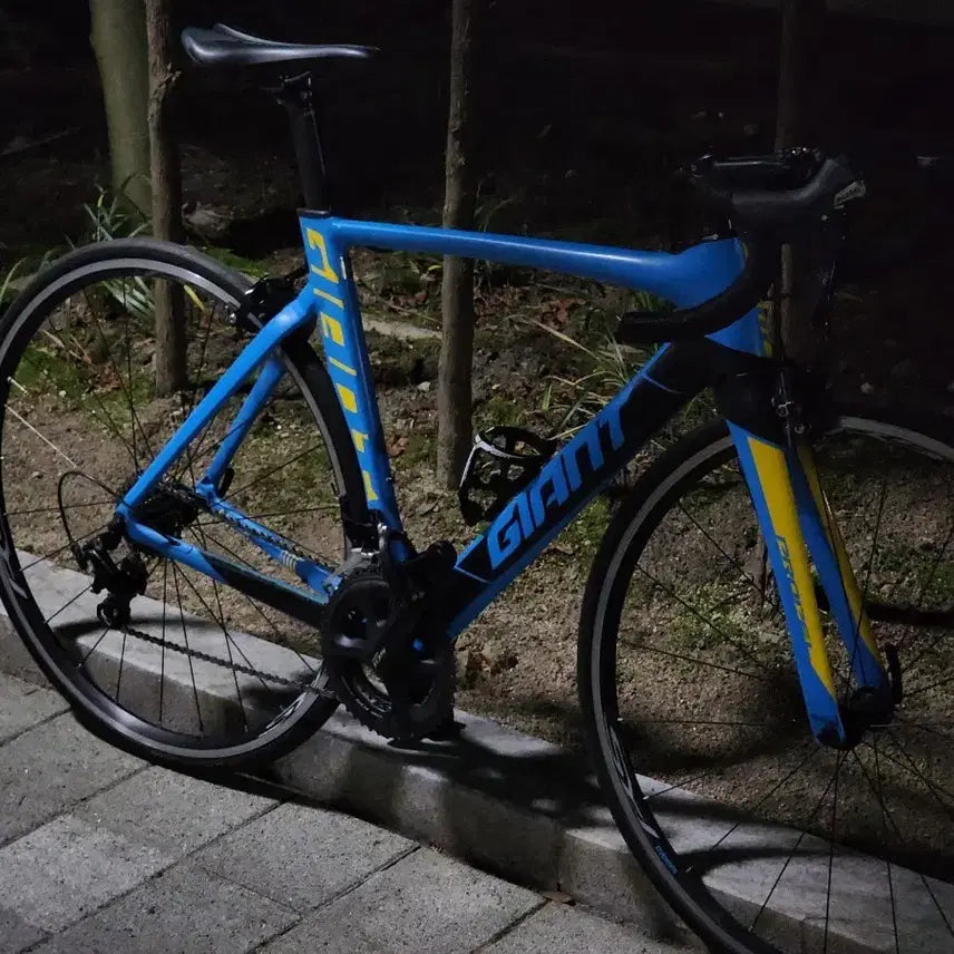 [BUNJANG] Giant Propel SLR 2 Road Bike / 자이언트 프로펠 slr2 로드자전거