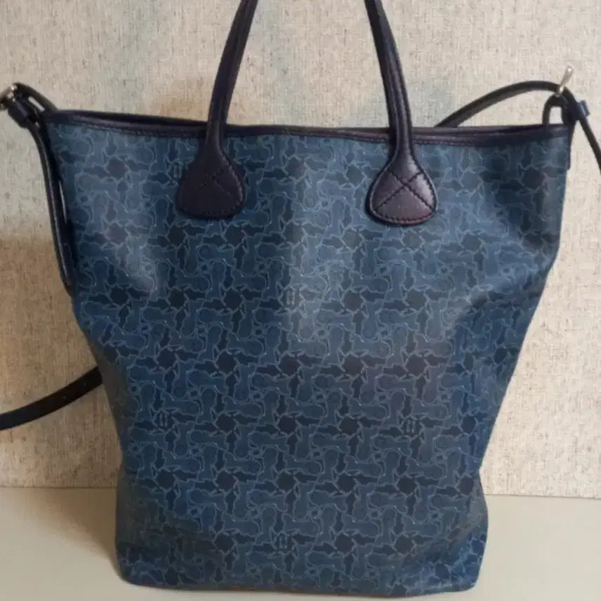 [BUNJANG] Celine Tote Bag Shoulder Bag Crossbody Bag / (정품) 셀린느 토트백 숄더백 크로스백