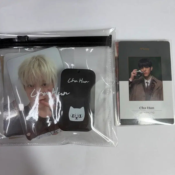 [BUNJANG] N.Flying Cha Hun Guitar Pick Set / 엔플라잉 차훈 기타 피크 세트