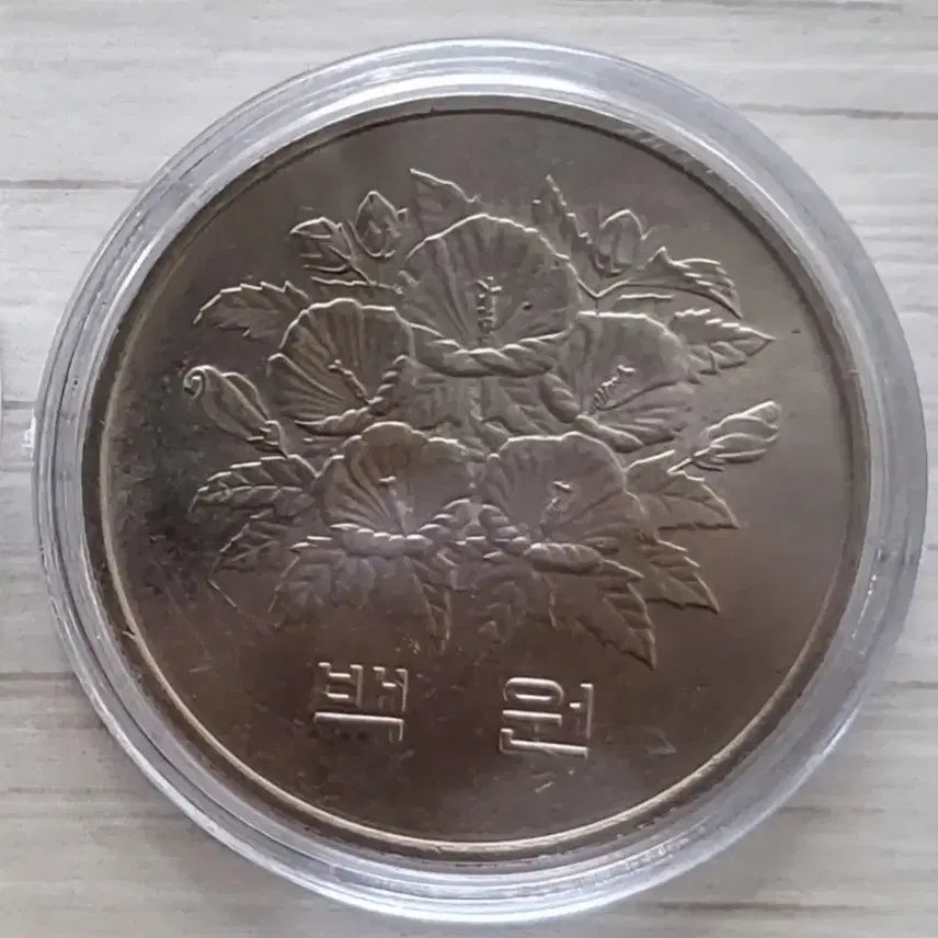 [BUNJANG] 1981 5th Republic of Korea 100 Won Commemorative Coin / 1981년 제5공화국 100원 기념주화