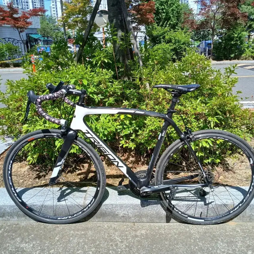 [BUNJANG] Trigon Darkness SL4 Carbon Road Bike - Size 55 / 급처 트리곤 다크니스 sl4 카본 로드 자전거 대차x