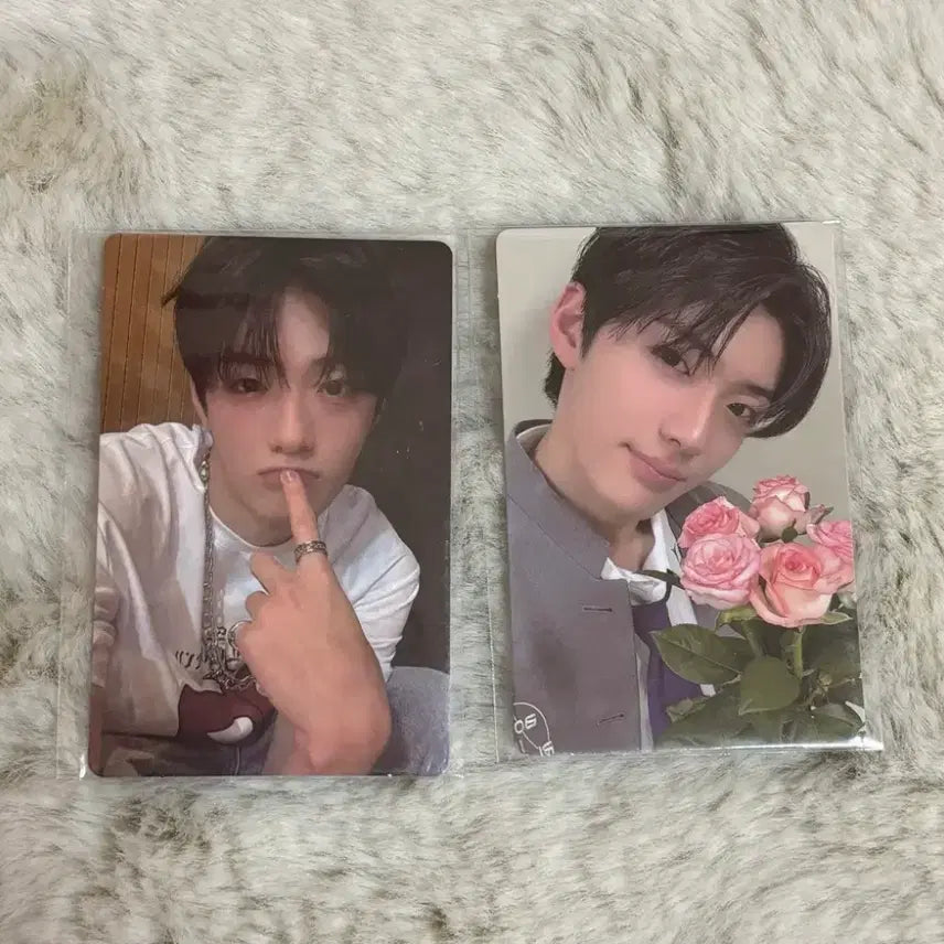 [BUNJANG] Alpha Drive 1 Jeong Sang Hyeon Photocard Bundle Set / 알파드라이브원 알디원 정상현 보플 포카 일괄
