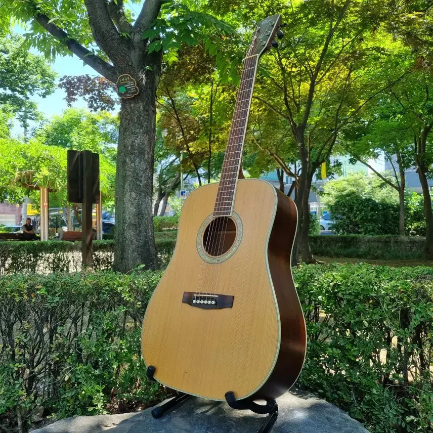 [BUNJANG] Colt Earth202 Acoustic Guitar - Korean Made, Solid Cedar Top, Mahogany Back/Sides / 한국산 콜트 탑백솔리드 마호가니 측후판 통기타
