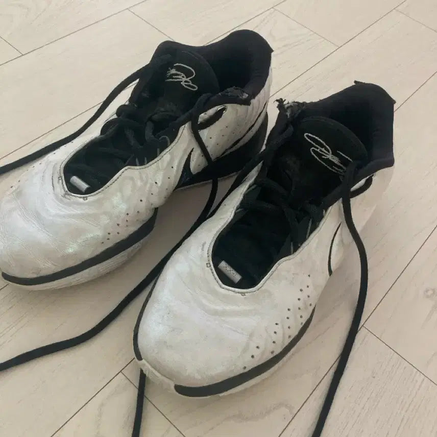 [BUNJANG] LeBron 21 Basketball Shoes / 르브론 21 285
