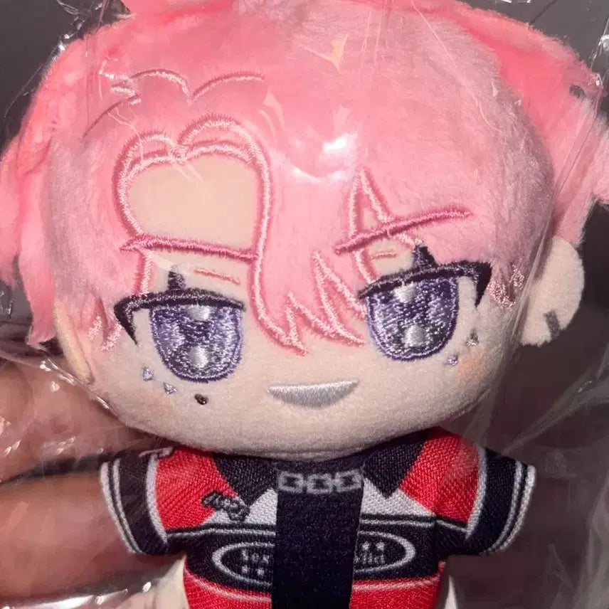 [BUNJANG] Tammon 'Nu-i' Plush Doll / 타몬 군 지금 어느 쪽 누이 양도