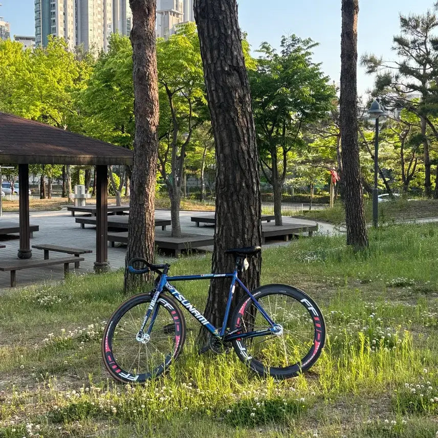 [BUNJANG] Tsunami Chameleon Fixed Gear M Size - Frame Only (Wheelset Excluded) / 쓰나미 카멜레온 반차 급처(휠셋 x)