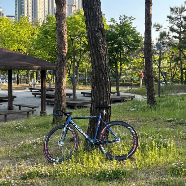 [BUNJANG] Tsunami Chameleon Fixed Gear M Size - Frame Only (Wheelset Excluded) / 쓰나미 카멜레온 반차 급처(휠셋 x)