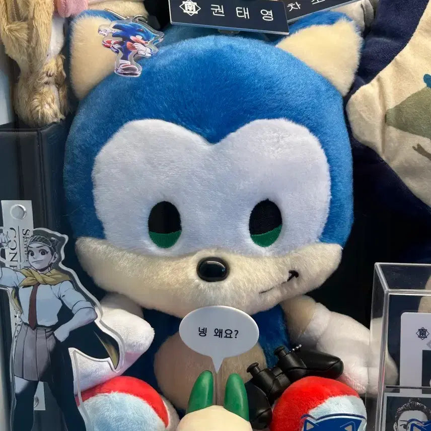 [BUNJANG] Sonic Friends Plush Doll M Size / 소닉 프렌즈 인형 누이
