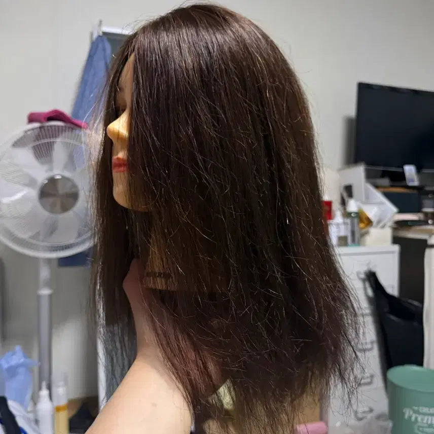 [BUNJANG] Maurice Human Hair Wig Medium Length / 모리스 통가발 인모 70%?80%?