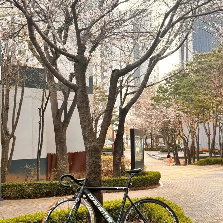 [BUNJANG] Constantine Bernard Pixie Fixed Gear Bicycle / 콘스탄틴 버나드