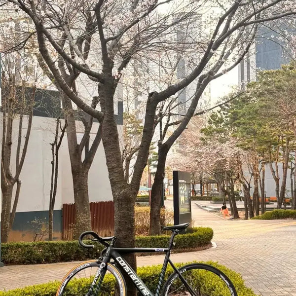 [BUNJANG] Constantine Bernard Pixie Fixed Gear Bicycle / 콘스탄틴 버나드