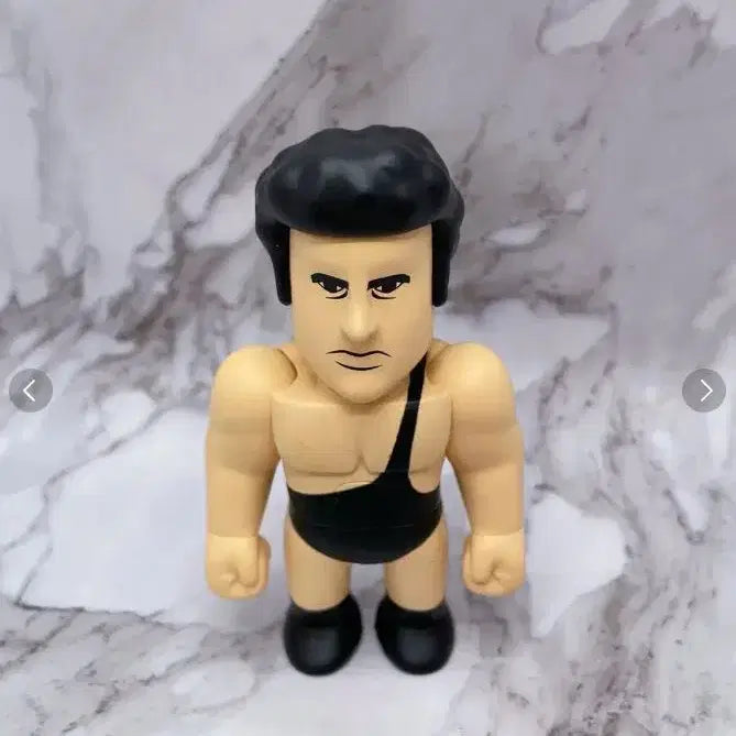 [BUNJANG] Kidrobot WWE Andre the Giant Vinyl Figure / 키드로봇 wwe 앙드레 더 자이언트